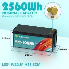 12V 200AH 100AH 24V Lithium Battery 4000+Deep Cycle LiFePO4 Battery With Built-in BMS for Home Storage,Motor Solar Power System (Color: 24V 100AH)